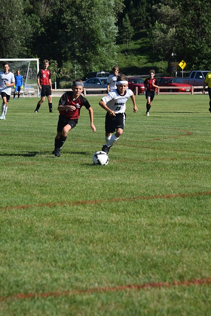 环无疑是任 环无疑是任