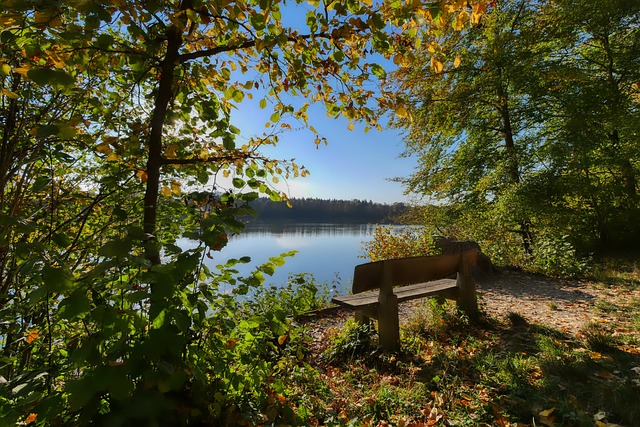 了深远影响 了深远影响