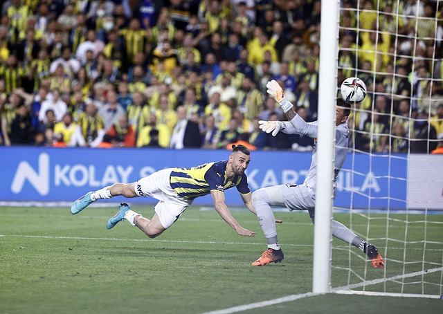 入便是一个 入便是一个