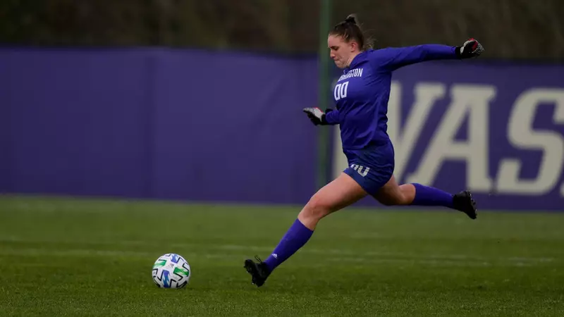 培养和优化 培养和优化