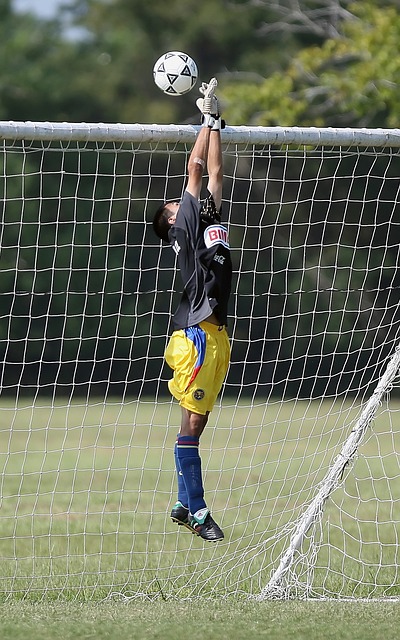 随着塞尔吉 随着塞尔吉