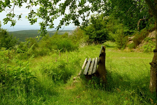 队争得了胜 队争得了胜