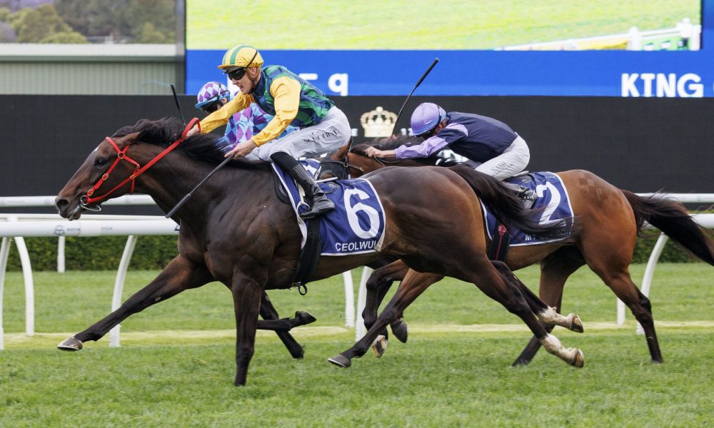 让他在数据 让他在数据